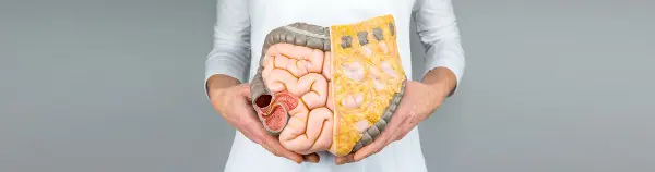 Pulizia dell'intestino (Coral Club)